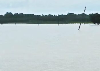 ಜಲಪಾತಗಳಿಗೆ ಮಳೆಯ ಕಳೆ!