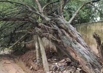 ಮಳೆಯ ರಣಾರ್ಭಟ: ಹೆಸ್ಕಾಂಗೆ ಭಾರೀ ನಷ್ಟ