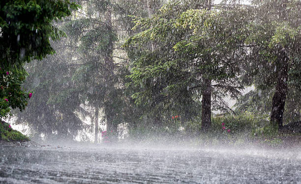 Torrential rain causing flood.