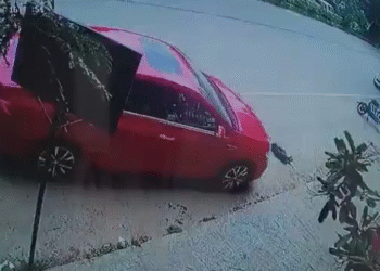 ಶ್ವಾನದ ಮೇಲೆಯೇ ಕಾರು ಹತ್ತಿಸಿದ ಪಾಪಿ ಚಾಲಕ