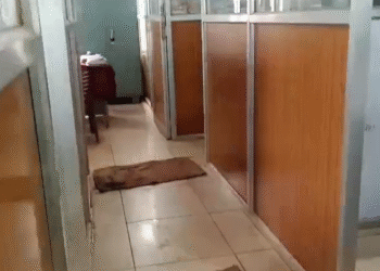 ಸಿಎಂ ಸಿದ್ದರಾಮಯ್ಯ ಪ್ರತಿನಿಧಿಸಿದ್ದ ಕ್ಷೇತ್ರದ ಸರ್ಕಾರದ ಕಚೇರಿಯಲ್ಲಿ ಇದೆಂಥಾ ಅವ್ಯವಸ್ಥೆ?