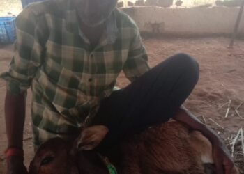 ಎರಡೆರಡು ಡೆತ್ ಸರ್ಟಿಫಿಕೇಟ್ ಕೊಟ್ಟು ಎಡವಟ್ಟು ಮಾಡಿದ ವೈದ್ಯರು