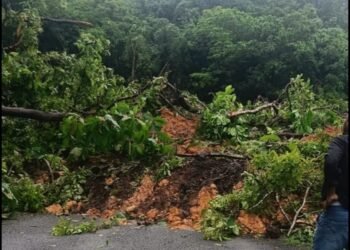 ಕಾರವಾರದಲ್ಲಿ ಕುಸಿದ ಗುಡ್ಡ: ಸಂಚಾರಕ್ಕೆ ತಾತ್ಕಾಲಿಕ ನಿರ್ಬಂಧ