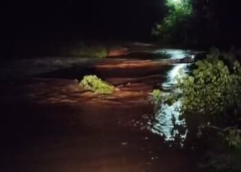 ವ್ಯಾಪಕ ಮಳೆಗೆ ಸೇತುವೆ ಜಲಾವೃತ