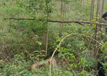 ನಾಪತ್ತೆಯಾಗಿದ್ದ ಫಾರೆಸ್ಟ್ ಗಾರ್ಡ್ ಶವವಾಗಿ ಪತ್ತೆ