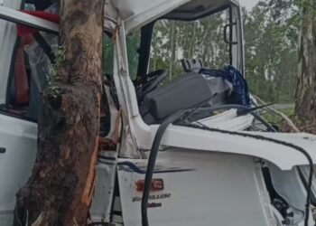 ನಾಯಿ ತಪ್ಪಿಸಲು ಹೋಗಿ ಭೀಕರ ಅಪಘಾತ