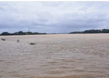 ಅಪಾಯದ ಮಟ್ಟ ಮೀರಿ ಹರಿಯುತ್ತಿರುವ ತುಂಗಭದ್ರಾ