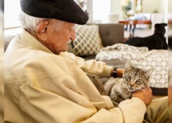 ಬೆಕ್ಕನ್ನು ಆರೈಕೆ ಮಾಡಿ 1.2 ಕೋಟಿ ರೂ. ಪಡೆಯಿರಿ!