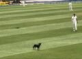 ಪಂದ್ಯದ ಮಧ್ಯೆ ನುಗ್ಗಿದ ನಾಯಿ: ವೆಸ್ಟ್ ಇಂಡೀಸ್ vs ಆಸ್ಟ್ರೇಲಿಯಾ ಟೆಸ್ಟ್ ಪಂದ್ಯಕ್ಕೆ ಅಡ್ಡಿಪಡಿಸಿದ ಡ್ರೋನ್ ಬೆನ್ನಟ್ಟಿದ ದೃಶ್ಯ ವೈರಲ್!