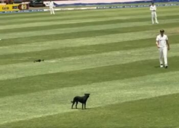 ಪಂದ್ಯದ ಮಧ್ಯೆ ನುಗ್ಗಿದ ನಾಯಿ: ವೆಸ್ಟ್ ಇಂಡೀಸ್ vs ಆಸ್ಟ್ರೇಲಿಯಾ ಟೆಸ್ಟ್ ಪಂದ್ಯಕ್ಕೆ ಅಡ್ಡಿಪಡಿಸಿದ ಡ್ರೋನ್ ಬೆನ್ನಟ್ಟಿದ ದೃಶ್ಯ ವೈರಲ್!