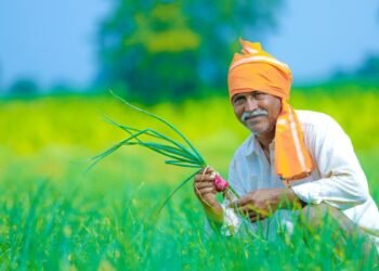 ಏನಿದು ಪ್ರಧಾನಮಂತ್ರಿ ಧನ-ಧಾನ್ಯ ಯೋಜನೆ? ರೈತರಿಗೆ ಏನೆಲ್ಲ ಲಾಭ?