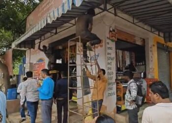 ಬಿಬಿಎಂಪಿಯಿಂದ ಅಪರೇಷನ್ ಪುಟ್ ಪಾತ್ !