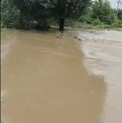 ಭಾರಿ ಮಳೆ : ಚಿಂಚೋಳಿ, ಕಾಳಗಿ ಗ್ರಾಮಗಳ ಸಂಪರ್ಕ ಕಡಿತ