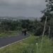 ಹೆಚ್ಚಾದ ಕಾಡಾನೆ ಹಾವಳಿ, ನಡುರಸ್ತೆಗೆ ಬಂದ ಗಜರಾಜ !