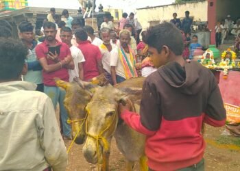 ಬಾರದ ಮಳೆ : ಕತ್ತೆ ಮದುವೆ ಮಾಡಿಸಿದ ಗ್ರಾಮಸ್ಥರು !