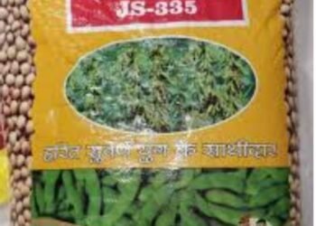 ಸಾರಸ್ ಕಂಪನಿಯ 335 ಸೋಯಾ ಬಿತ್ತನೆ ಬೀಜ ಕಳಪೆ : ರೈತರ ಆರೋಪ