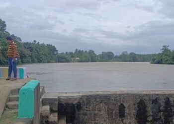 ಮೈದುಂಬಿ ಹರಿಯುತ್ತಿರುವ ಕಾವೇರಿ | ಮನಸೋತ ಪ್ರವಾಸಿಗರು