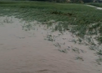 ಕೋಟೆನಾಡಿನಲ್ಲಿ ಮಳೆ ಅಬ್ಬರ, ಕೊಚ್ಚಿಹೋದ ಬೆಳೆ