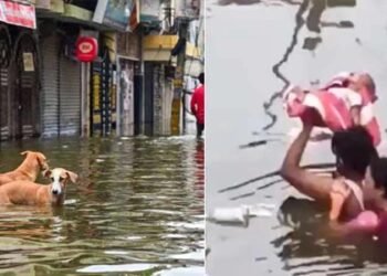 ಭಾರಿ ಮಳೆ | ಯುಪಿಯ 17 ಜಿಲ್ಲೆಗಳಲ್ಲಿ ಪ್ರವಾಹ ಪರಿಸ್ಥಿತಿ : 12 ಮಂದಿ ಸಾವು