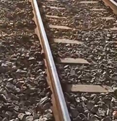 ರೈಲಿಗೆ ತಲೆಕೊಟ್ಟು ಆತ್ಮಹತ್ಯೆಗೆ ವೃದ್ಧ ಯತ್ನ | ಸಾಮಾಜಿಕ ಜಾಲತಾಣಗಳಲ್ಲಿ ವಿಡಿಯೋ ವೈರಲ್‌