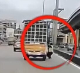 ಟೋಲ್ ಹಣ ಪಾವತಿ ಮಾಡದ ವಾಹನ ಚಾಲಕ | ಬೆನ್ನಟ್ಟಿ ಹೋದ ಟೋಲ್ ಸಿಬ್ಬಂದಿ