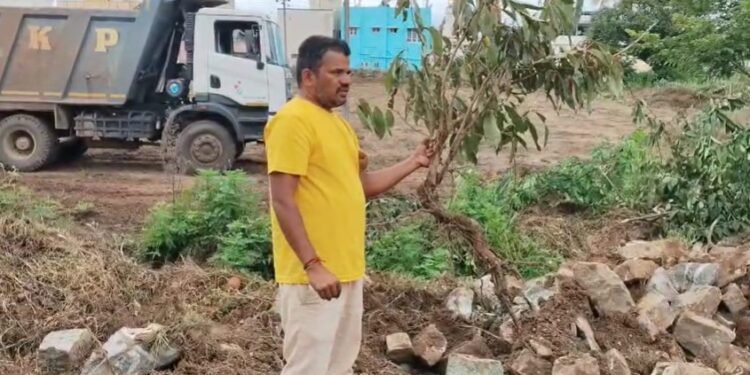 ಸಾಲುಮರದ ತಿಮ್ಮಕ್ಕ ನೆಟ್ಟಿದ್ದ ಗಿಡಗಳ ಧ್ವಂಸ | ಅಧಿಕಾರಿಗಳ ವಿರುದ್ಧ ಕ್ರಮಕ್ಕೆ ಆಗ್ರಹ