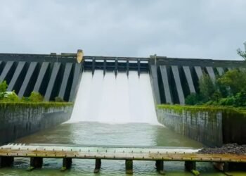 ಭಾರಿ ಮಳೆ : ತುಂಬಿ ಹರಿದ ಕೃಷ್ಣಾ ನದಿ