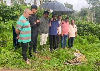 ಕಾಫಿ ತೋಟದಲ್ಲಿ ಹುಲಿ ಮೃತದೇಹ ಪತ್ತೆ !