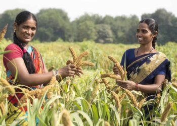 ಜಮೀನು ಖರೀದಿಸಲು ಸರ್ಕಾರದಿಂದ 20 ಲಕ್ಷ ರೂ. ಸಹಾಯಧನ: ಕೂಡಲೇ ಅರ್ಜಿ ಸಲ್ಲಿಸಿ