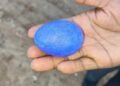 ನೀಲಿ ಮೊಟ್ಟೆ ಇಟ್ಟ ನಾಟಿ ಕೋಳಿ !