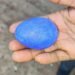 ನೀಲಿ ಮೊಟ್ಟೆ ಇಟ್ಟ ನಾಟಿ ಕೋಳಿ !