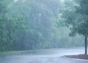 ಭಾರಿ ಮಳೆ | ಕೊಡಗಿನ ಶಾಲಾ ಕಾಲೇಜುಗಳಿಗೆ ನಾಳೆ ರಜೆ !