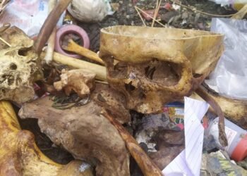 ಬೆಂಗಳೂರು | ಕಸದ ತೊಟ್ಟಿಯ ಬಳಿ ಮಾನವ ಬುರುಡೆ ಪತ್ತೆ !