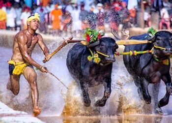 ಕರಾವಳಿಯ ಪ್ರಸಿದ್ಧ ಜಾನಪದ ಕ್ರೀಡೆ ಕಂಬಳಕ್ಕೆ ರಾಜ್ಯ ಕ್ರೀಡೆಯಾಗಿ ಮಾನ್ಯತೆ