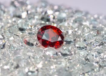 ಕೆಂಪುಕೋಟೆ ಉದ್ಯಾನವನದಲ್ಲಿ 1 ಕೋಟಿ ಮೌಲ್ಯದ ವಜ್ರ, ಮಾಣಿಕ್ಯ ಖಚಿತ ಕಲಶ ಕಳವು!