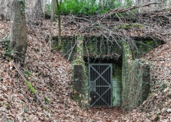 ಜಮ್ಮು ಕಾಶ್ಮೀರದಲ್ಲಿ ಉಗ್ರರ ಕಾರ್ಯವೈಖರಿ ಬದಲು: ದಟ್ಟ ಅರಣ್ಯಗಳಲ್ಲಿ ಕಾಂಕ್ರೀಟ್ ಬಂಕರ್ಗಳ ನಿರ್ಮಾಣ!