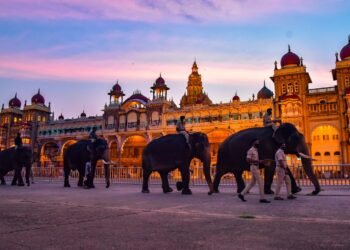 ಮೈಸೂರು ದಸರಾ: ಪ್ರವಾಸದ ಪ್ಯಾಕೇಜ್ ಘೋಷಿಸಿದ KSRTC, ಹೀಗಿದೆ ಟಿಕೆಟ್ ದರ