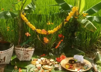 ಮಲೆನಾಡಿನಾದ್ಯಂತ ಇಂದು ಭೂಮಿ ಹುಣ್ಣಿಮೆಯ ಸಂಭ್ರಮ!