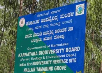 ಜೀವ ವೈವಿಧ್ಯ ಮಂಡಳಿಯಲ್ಲಿ ವಿವಿಧ ಹುದ್ದೆಗಳ ನೇಮಕ: LLB ಪಾಸಾದವರಿಗೆ ಸಿಹಿ ಸುದ್ದಿ