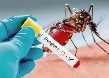 ಬೆಂಗಳೂರಲ್ಲಿ 10 ಸಾವಿರ ಗಡಿ ದಾಟಿದ ಡೆಂಘೀ ಪ್ರಕರಣ – ಜನರಲ್ಲಿ ಹೆಚ್ಚಿದ ಆತಂಕ!