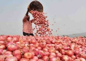 ಈರುಳ್ಳಿ ಬೆಲೆ ಕುಸಿತ; ರೈತರ ಕಣ್ಣೀರು..!