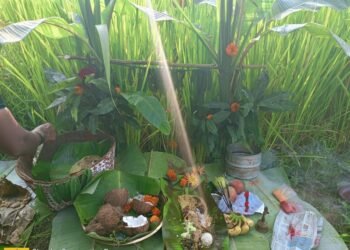 ಭೂತಾಯಿಯನ್ನು ಆರಾಧಿಸುವ ಹಬ್ಬವೇ ಈ “ಸೀಗೆ ಹುಣ್ಣಿಮೆ”