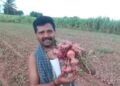 ಈರುಳ್ಳಿ ಬೆಲೆ ಕುಸಿತ: ಫಸಲನ್ನು ಮಣ್ಣಲ್ಲೇ ಮುಚ್ಚಿದ ರೈತ!