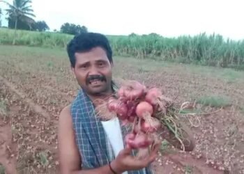 ಈರುಳ್ಳಿ ಬೆಲೆ ಕುಸಿತ: ಫಸಲನ್ನು ಮಣ್ಣಲ್ಲೇ ಮುಚ್ಚಿದ ರೈತ!