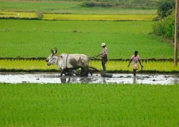 ಕೇಂದ್ರ ಸರ್ಕಾರದ ‘ಧನ್ ಧಾನ್ಯ’ ಕೃಷಿ ಯೋಜನೆಗೆ ಹಾವೇರಿ, ಗದಗ ಜಿಲ್ಲೆಗಳು ಸೇರ್ಪಡೆ!