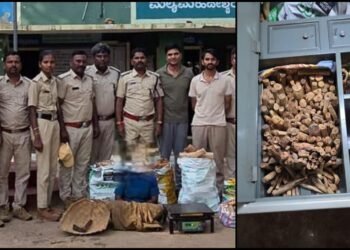 ಚಾಮರಾಜನಗರ ಅರಣ್ಯಾಧಿಕಾರಿಗಳ ಕಾರ್ಯಾಚರಣೆ – 100 ಕೆಜಿ ಶ್ರೀಗಂಧ ವಶ.. ಆರೋಪಿಗೆ ಶೋಧ!