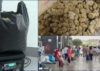 ಕೆಂಪೇಗೌಡ ಏರ್ಪೋರ್ಟ್ನಲ್ಲಿ ಕಸ್ಟಮ್ಸ್ ಅಧಿಕಾರಿಗಳ ಕಾರ್ಯಾಚರಣೆ – 4 ಕೆ.ಜಿ ಗಾಂಜಾ ಜಪ್ತಿ, ಮಹಿಳೆ ಬಂಧನ!