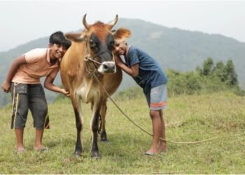 ಟ್ರೇಲರ್ ಮೂಲಕ ಗಮನ ಸೆಳೆದ “ವಲವಾರ” ಸಿನಿಮಾ : ಶೀಘ್ರದಲ್ಲೇ ಬಿಡುಗಡೆ