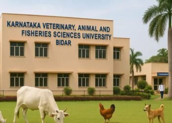 ಪಶು ವೈದ್ಯಕೀಯ ವಿವಿಯಲ್ಲಿ 2 ಹುದ್ದೆಗಳ ನೇಮಕಾತಿ: 83 ಸಾವಿರ ರೂ. ಸ್ಯಾಲರಿ
