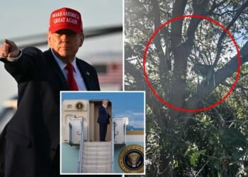 ವಿಮಾನ ನಿಲ್ದಾಣದ ಬಳಿ ‘ಸ್ನೈಪರ್ ನೆಸ್ಟ್’ ಪತ್ತೆ: ಸಣ್ಣ ಮೆಟ್ಟಿಲು ಬಳಸಿ ‘ಏರ್ ಫೋರ್ಸ್ ಒನ್’ ಏರಿದ ಟ್ರಂಪ್